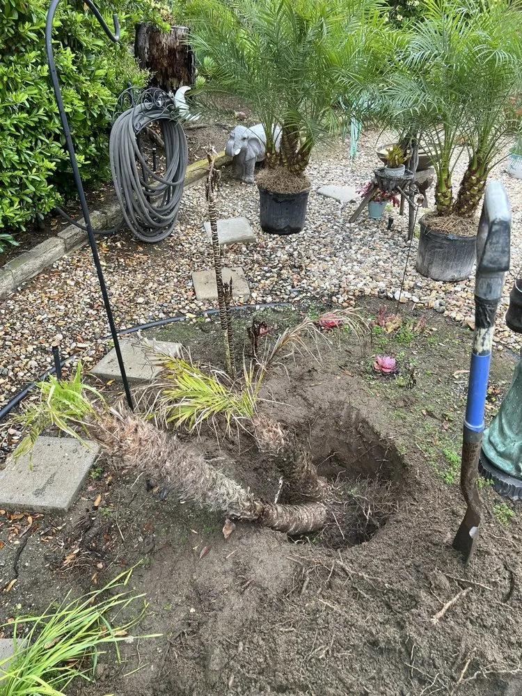 Top-rated landscape design for residential properties in Escondido, CA by Matheus Landscaping And Maintenance Services