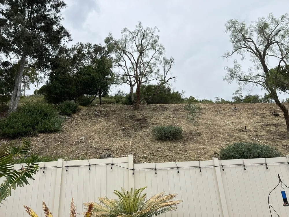 Custom residential landscaping with custom design in Escondido, CA by Matheus Landscaping And Maintenance Services