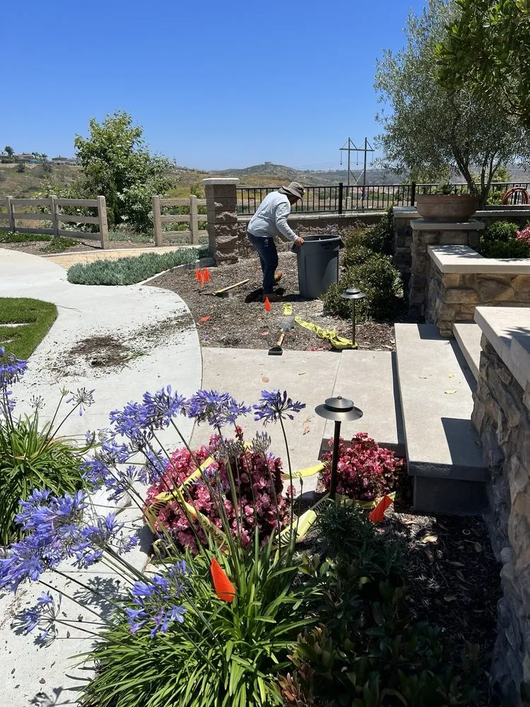 Professional yard maintenance in Escondido, CA by Matheus Landscaping And Maintenance Services