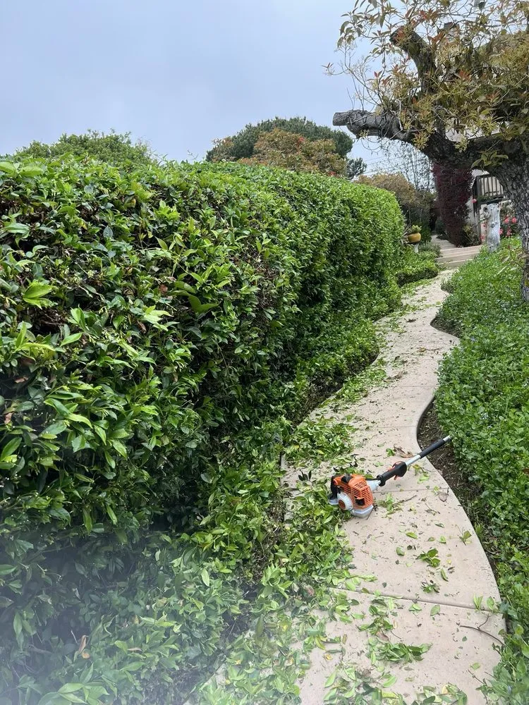 Reliable residential landscaping in Escondido, CA by Matheus Landscaping And Maintenance Services