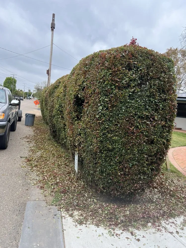 Reliable residential landscaping experts serving Escondido, CA - Matheus Landscaping And Maintenance Services