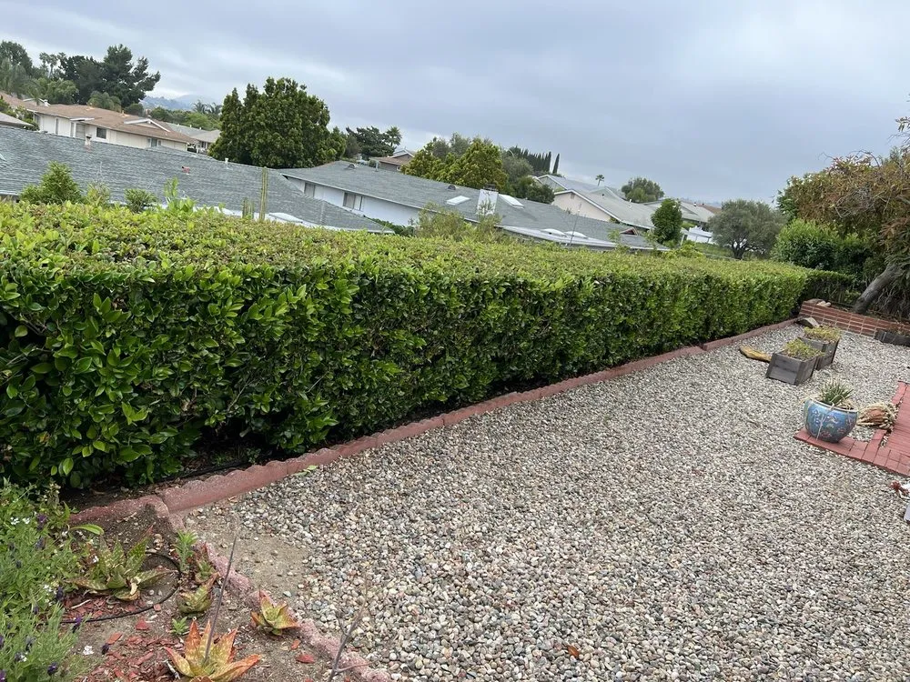 Affordable lawn mowing service for homes in Escondido, CA by Matheus Landscaping And Maintenance Services