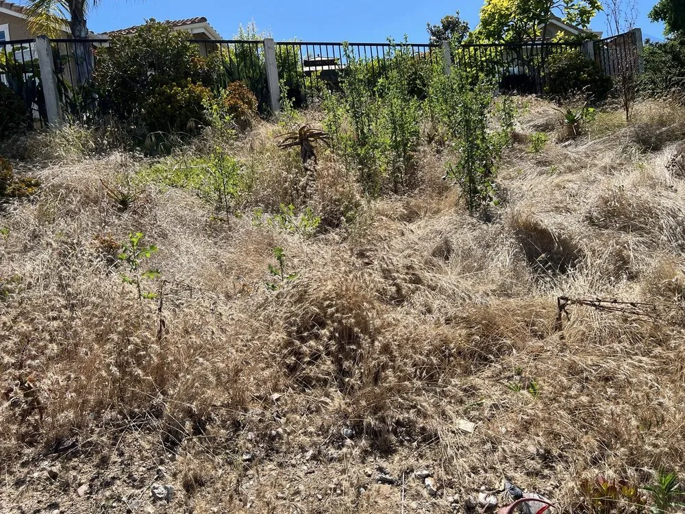 Affordable landscaping services with custom design in Escondido, CA by Matheus Landscaping And Maintenance Services