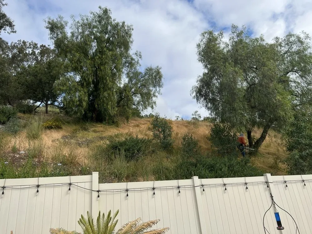 Local landscaping services for beautiful yards across Escondido, CA - Matheus Landscaping And Maintenance Services