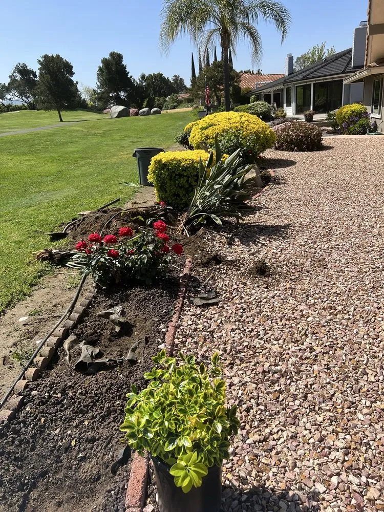 Custom garden landscaping in Escondido, CA by Matheus Landscaping And Maintenance Services