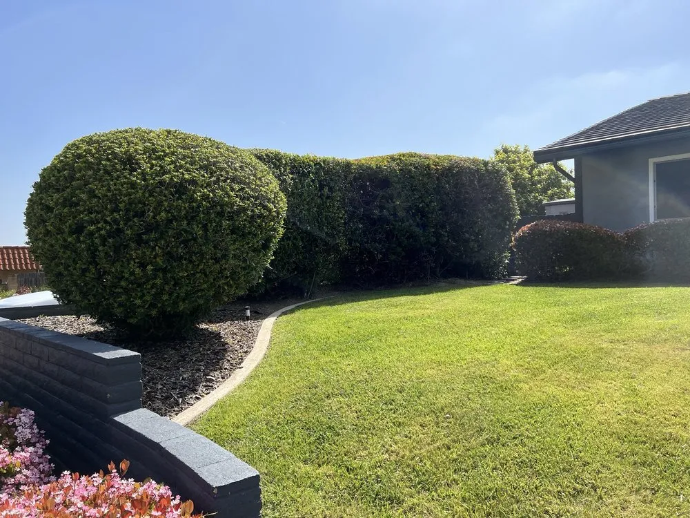 Local outdoor landscaping for residential properties across Escondido, CA - Matheus Landscaping And Maintenance Services