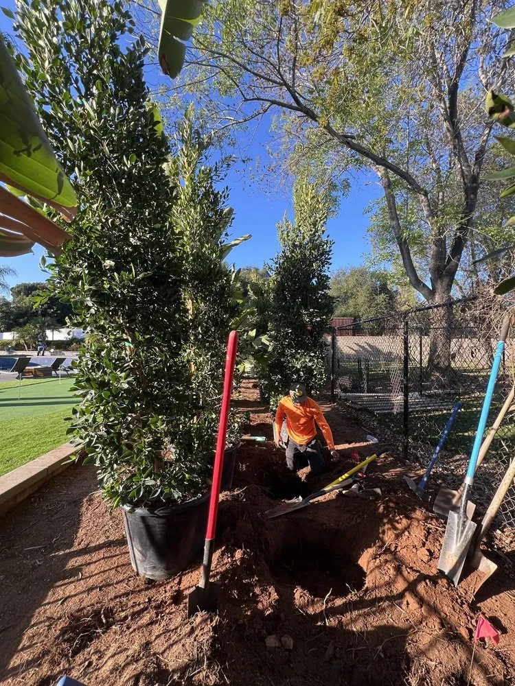 Custom yard maintenance for outdoor upgrades across Escondido, CA - Matheus Landscaping And Maintenance Services