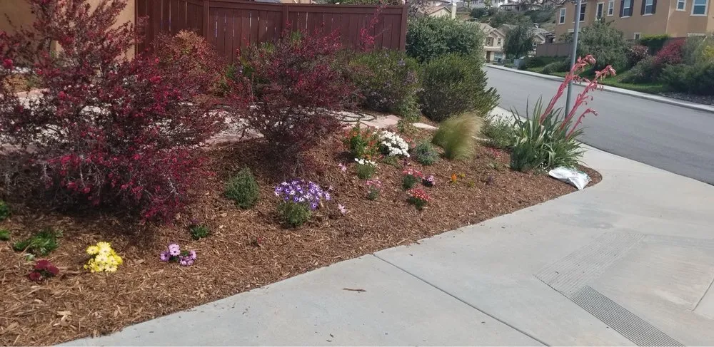 Expert outdoor landscaping in Escondido, CA by Matheus Landscaping And Maintenance Services