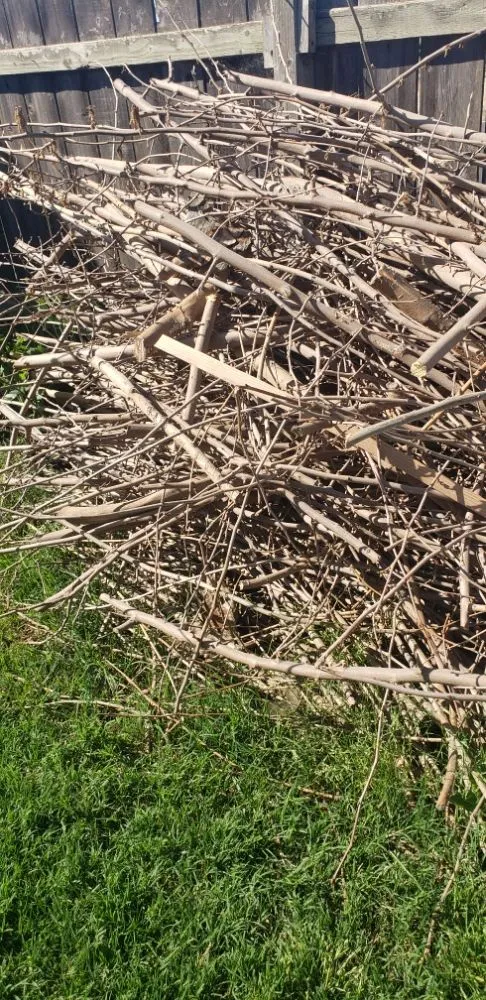 Custom yard maintenance experts serving Lockeford, CA - Mathews & Sons