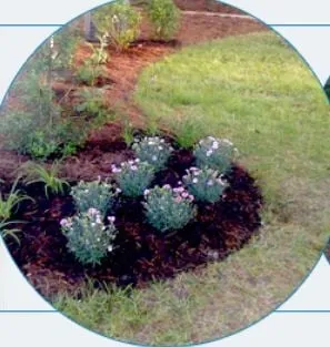 Reliable yard maintenance in Port Haywood, VA by Mathews Landscaping
