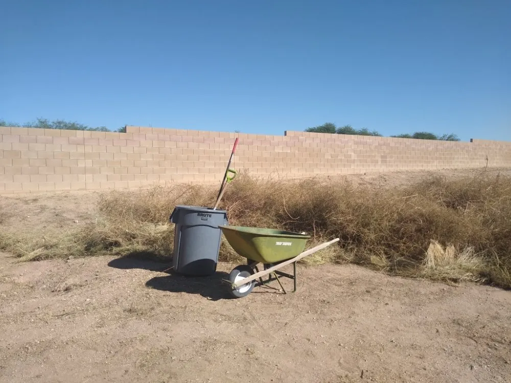 Trusted lawn mowing service with custom design in Vail, AZ by Mathew's Lawn Care