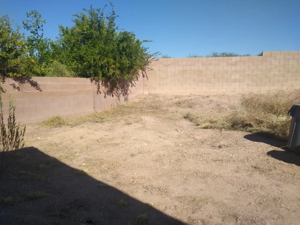 Reliable landscape installation for beautiful yards in Vail, AZ by Mathew's Lawn Care