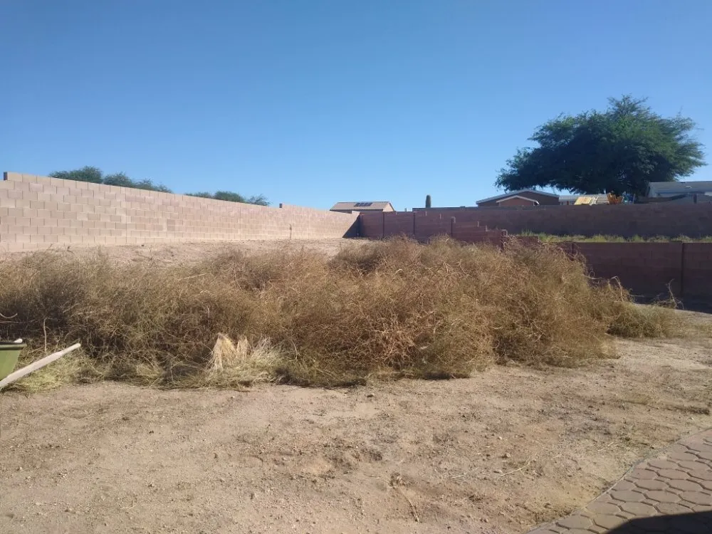 Custom lawn mowing service in Vail, AZ by Mathew's Lawn Care