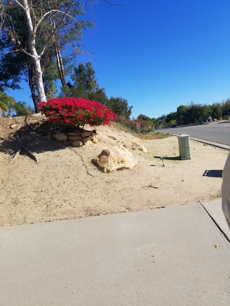 Custom residential landscaping in Vail, AZ by Mathew's Lawn Care