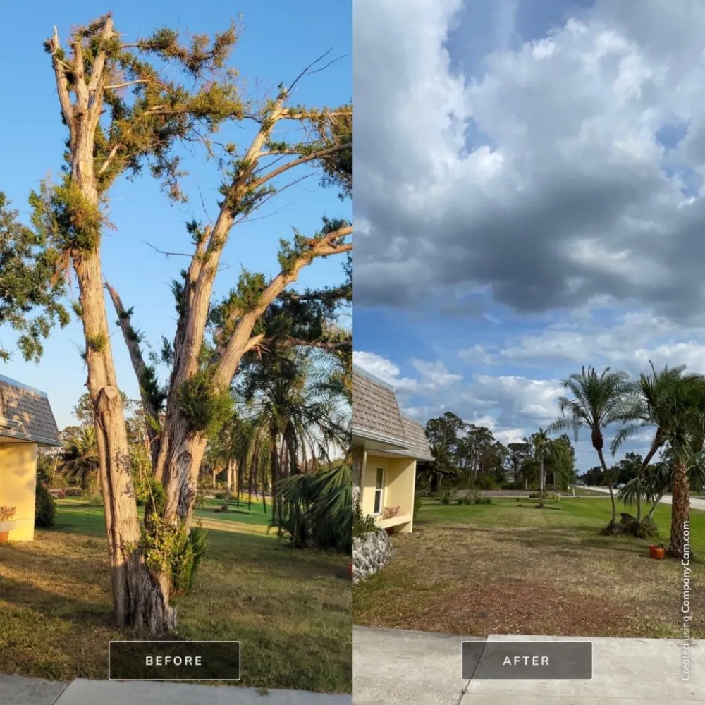 Top-rated lawn mowing service for beautiful yards in Cookeville, TN by Mathews Tree Service