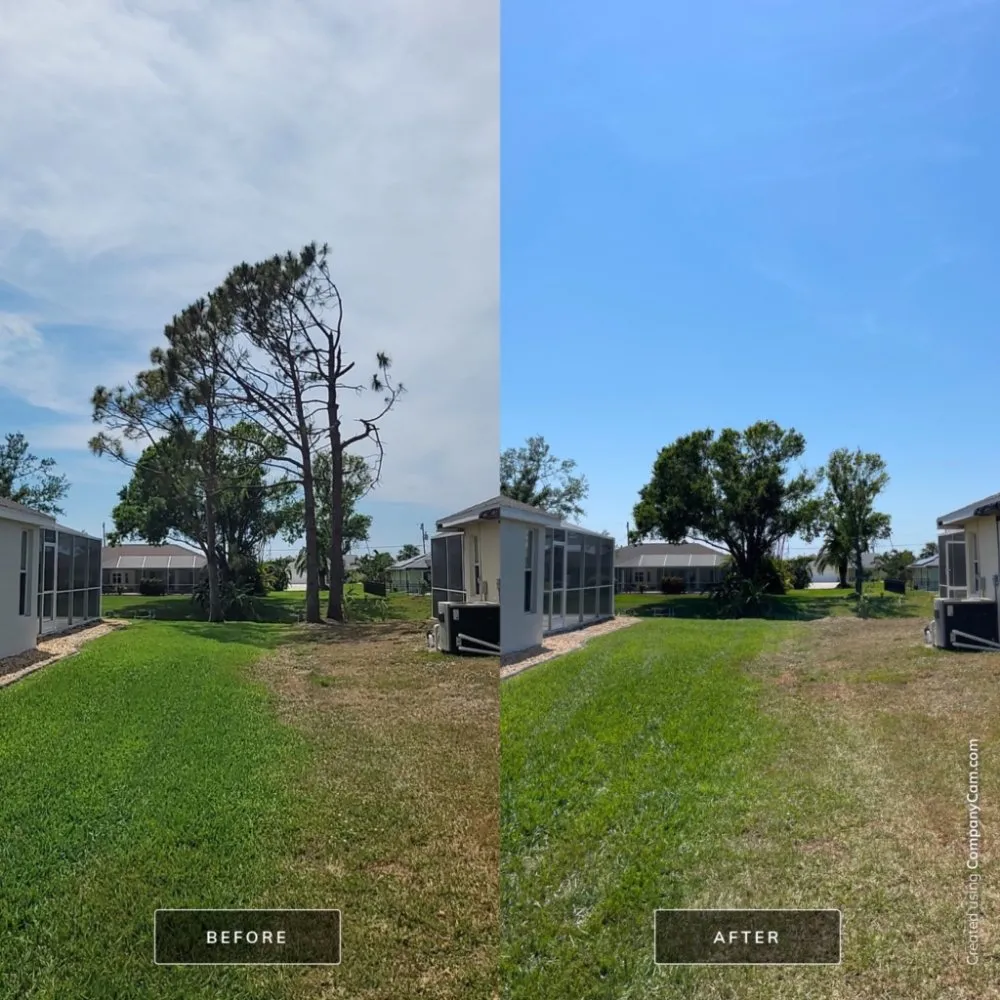 Expert landscaping services with custom design in Cookeville, TN by Mathews Tree Service