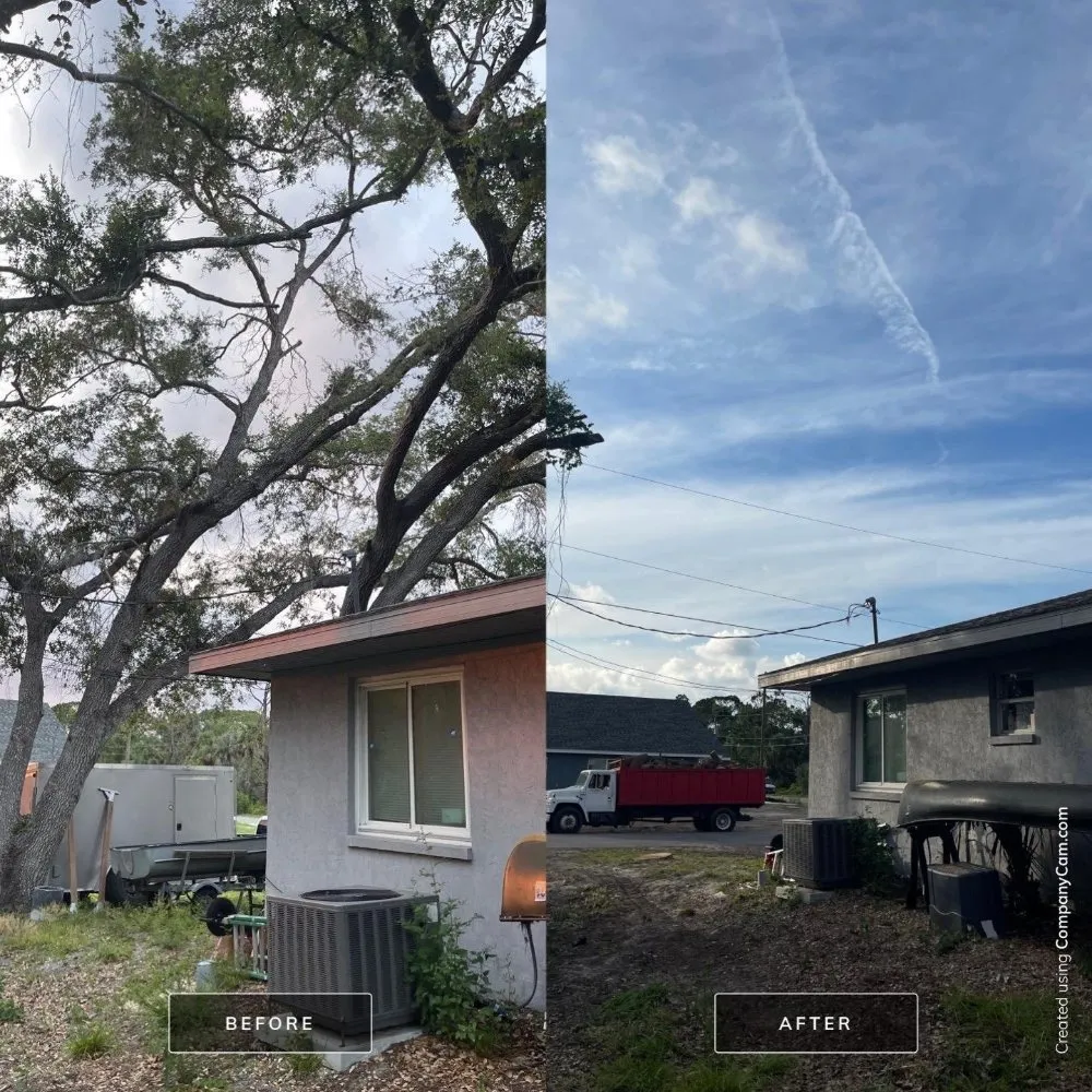 Custom residential landscaping near you in Cookeville, TN by Mathews Tree Service