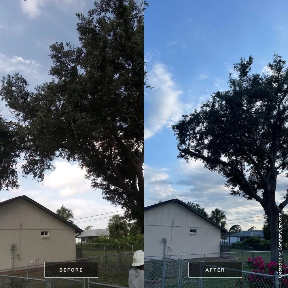 Trusted lawn mowing service experts serving Cookeville, TN - Mathews Tree Service