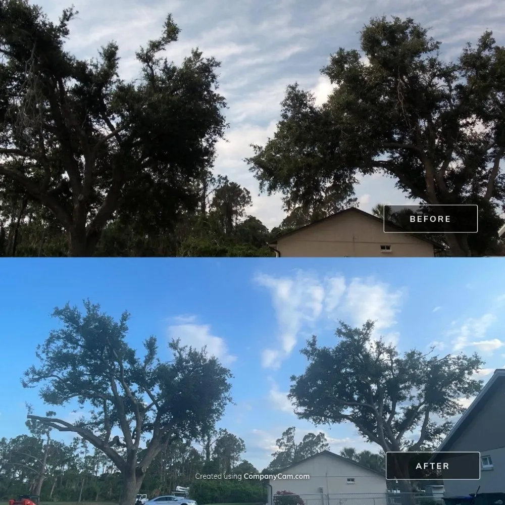 Affordable residential landscaping for year-round maintenance in Cookeville, TN by Mathews Tree Service