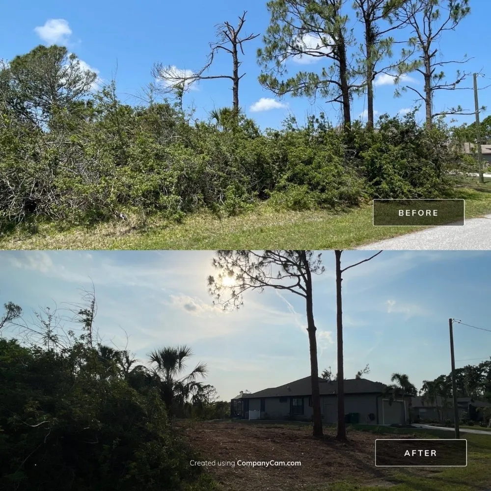 Reliable yard cleanup service experts serving Cookeville, TN - Mathews Tree Service