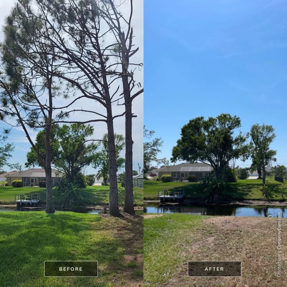 Custom yard maintenance for outdoor upgrades in Cookeville, TN by Mathews Tree Service