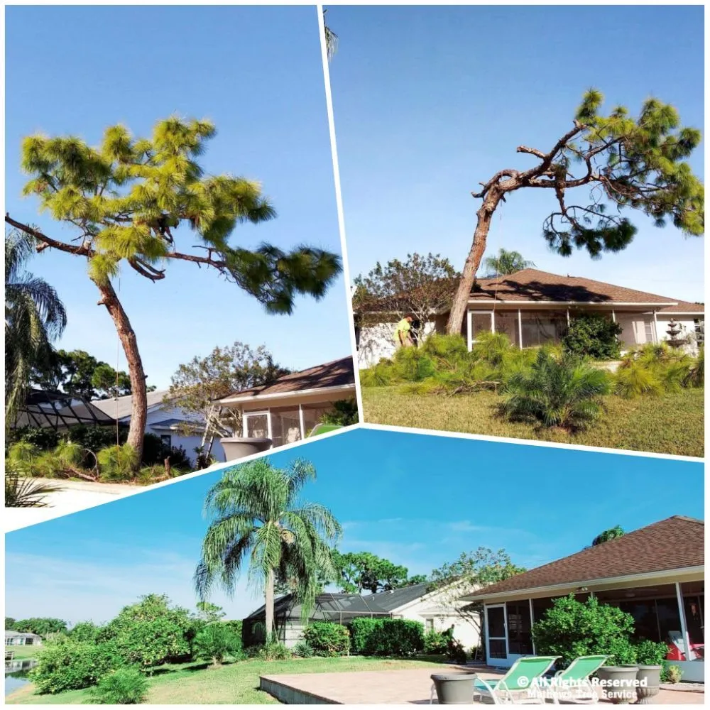 Professional residential landscaping in Cookeville, TN - Mathews Tree Service