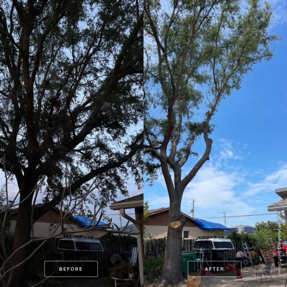 Trusted residential landscaping for homes in Cookeville, TN by Mathews Tree Service