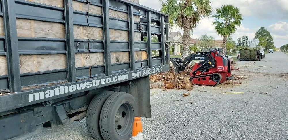 Professional landscape design for outdoor upgrades across Cookeville, TN - Mathews Tree Service