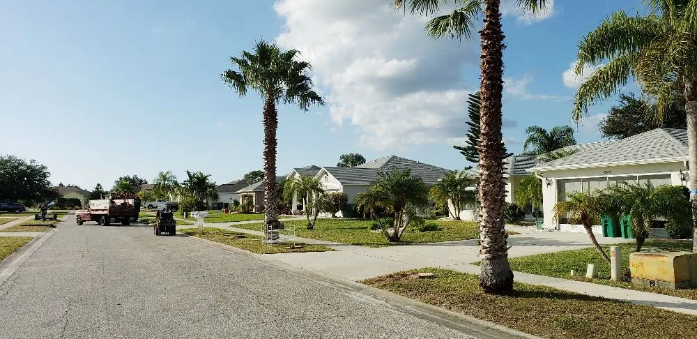 Reliable residential landscaping for beautiful yards across Cookeville, TN - Mathews Tree Service