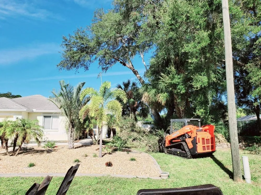 Affordable yard maintenance in Cookeville, TN by Mathews Tree Service