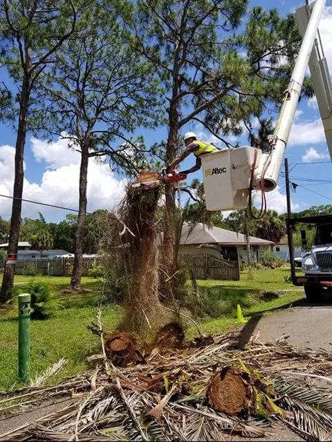 Expert landscaping services in Cookeville, TN - Mathews Tree Service