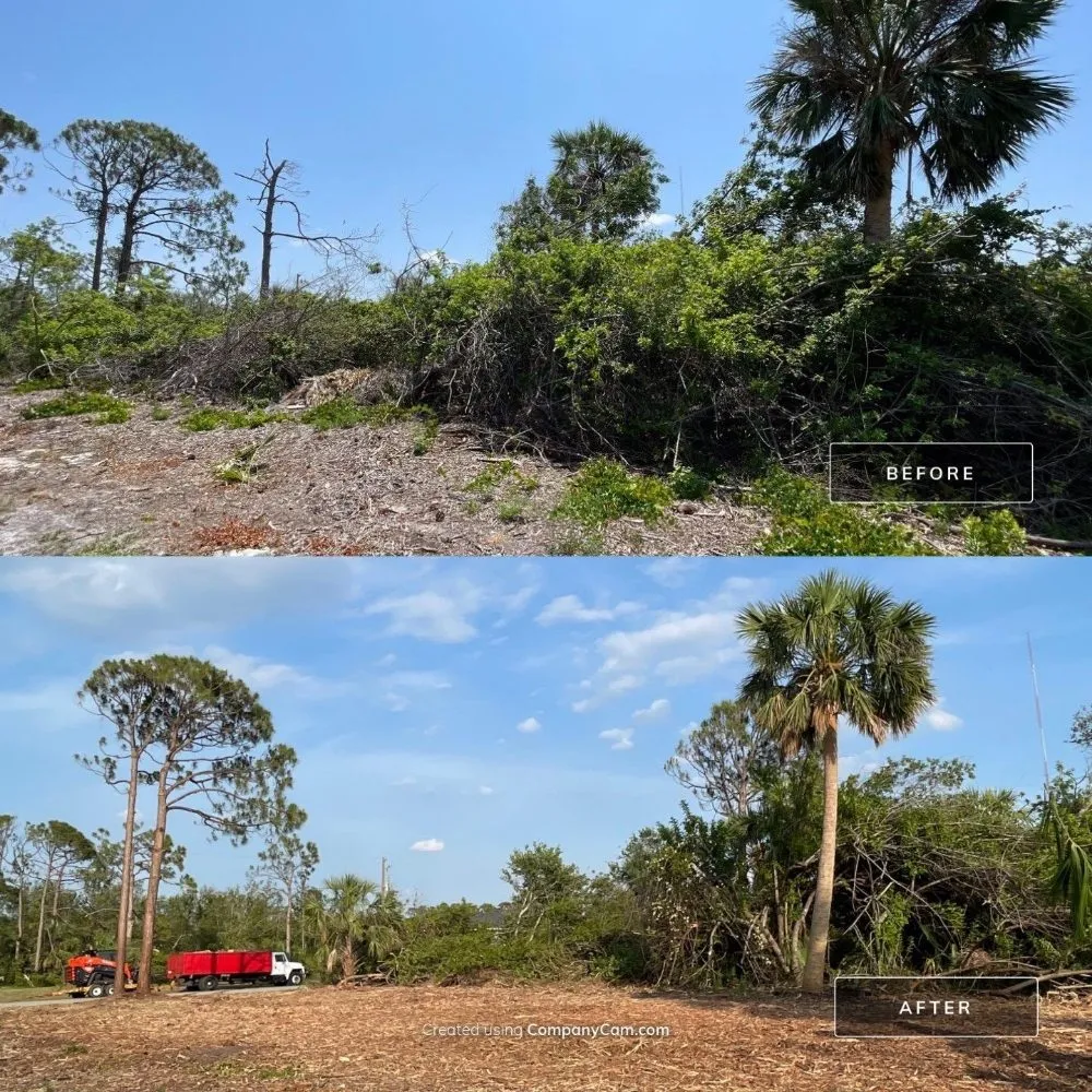 Trusted landscape design in Cookeville, TN - Mathews Tree Service