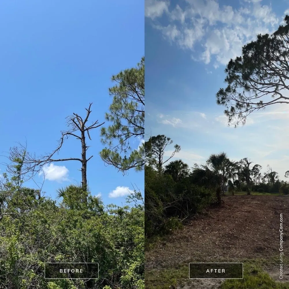 Top-rated residential landscaping in Cookeville, TN by Mathews Tree Service