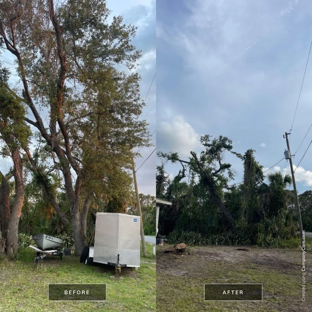 Local yard cleanup service with custom design across Cookeville, TN - Mathews Tree Service