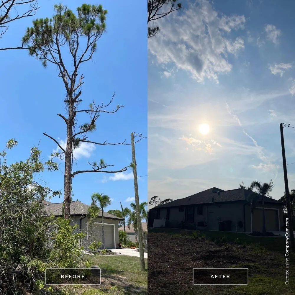 Affordable lawn mowing service for year-round maintenance in Cookeville, TN by Mathews Tree Service