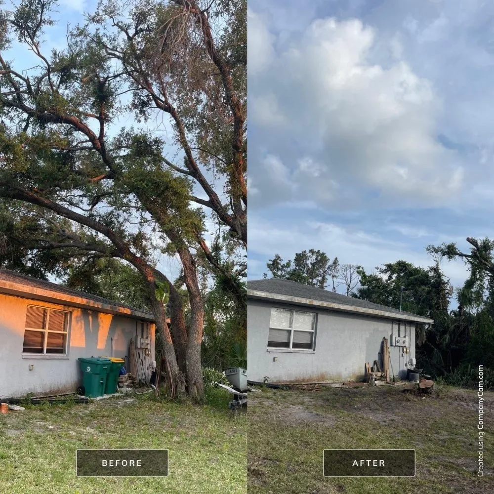 Local lawn mowing service experts serving Cookeville, TN - Mathews Tree Service