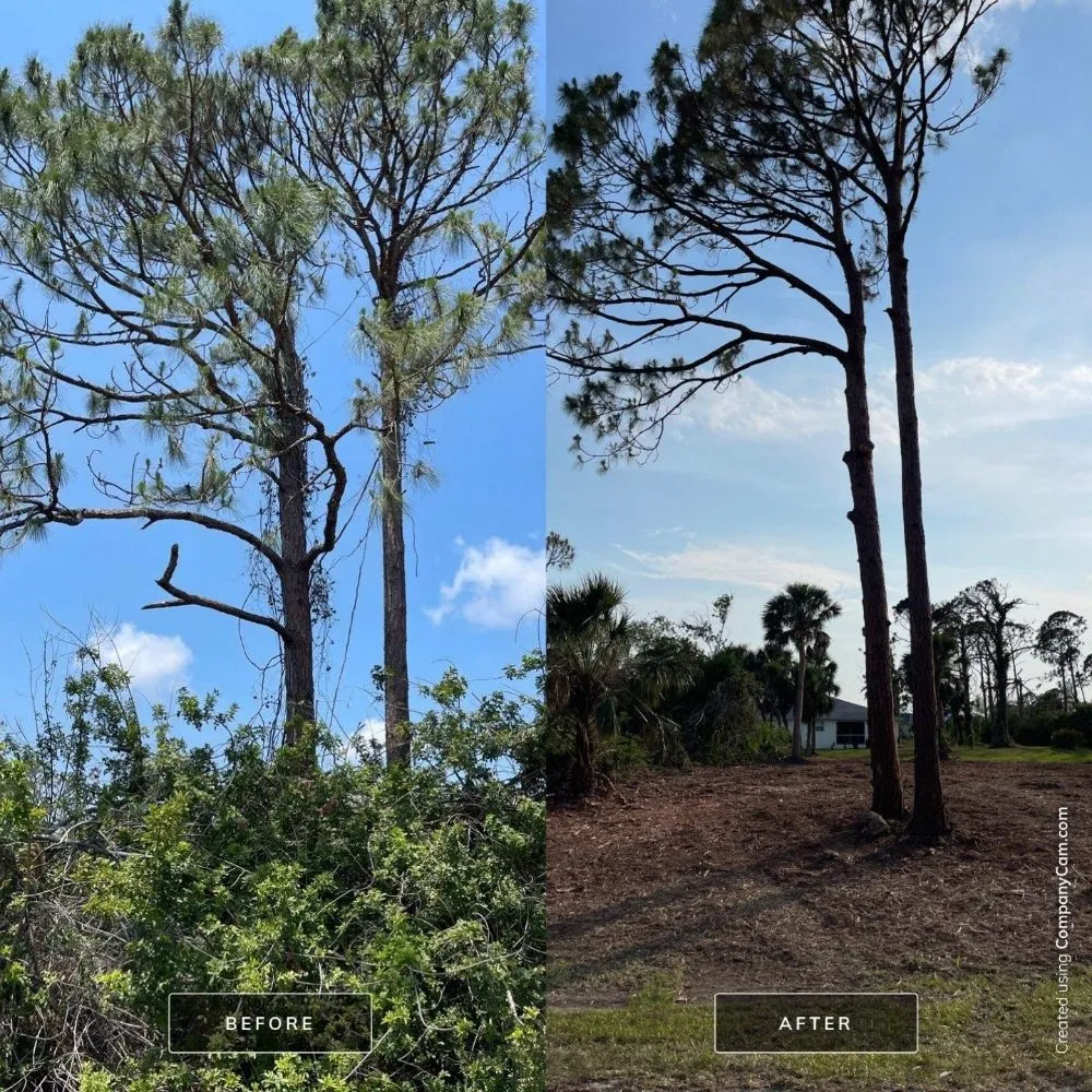 Expert landscaping services in Cookeville, TN - Mathews Tree Service