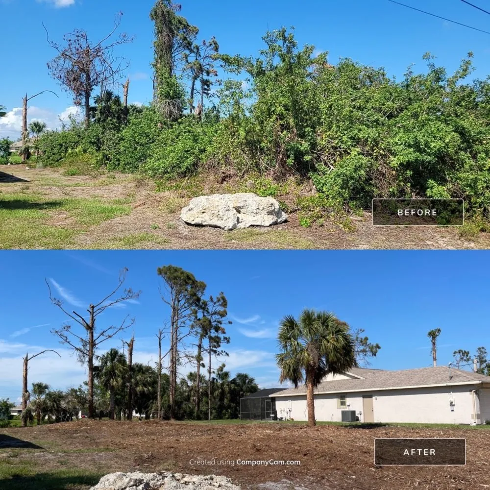 Expert yard cleanup service near you in Cookeville, TN by Mathews Tree Service