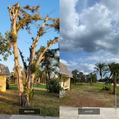 Mathews Tree Service