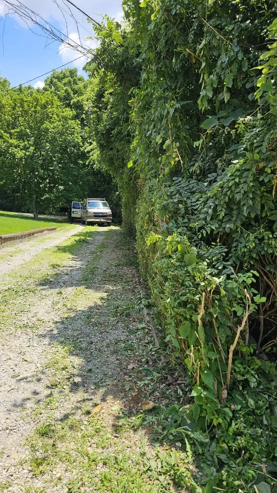 Local landscape design in Beavercreek Township, OH - Mathewson Property Care