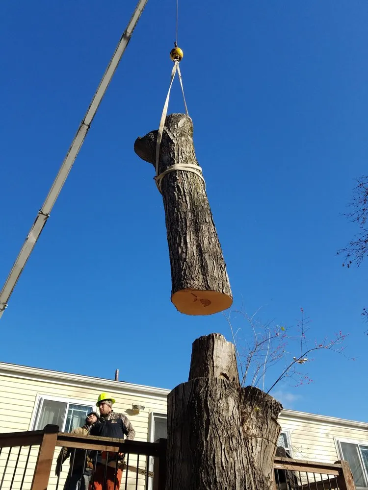 Trusted landscape design in Saint Peters, MO by Mathias Precision Tree Service