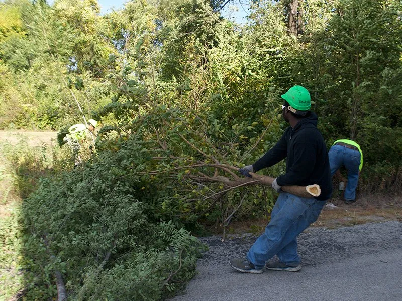 Professional lawn mowing service in Saint Peters, MO by Mathias Precision Tree Service