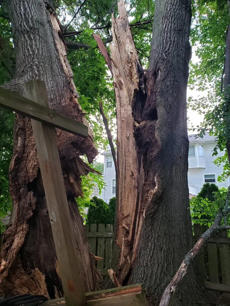 Trusted lawn care service for beautiful yards across Saint Peters, MO - Mathias Precision Tree Service