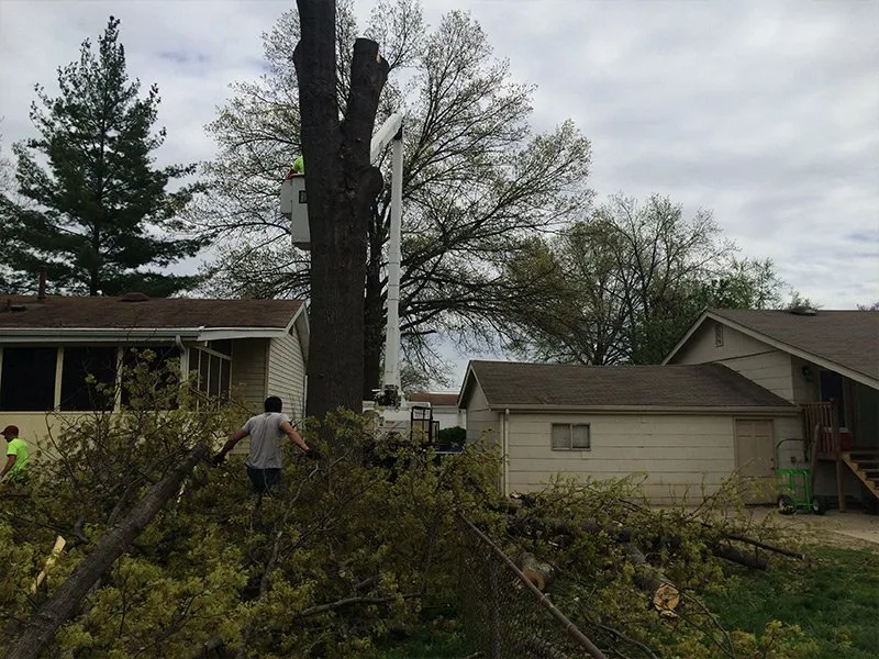 Reliable garden landscaping with custom design across Saint Peters, MO - Mathias Precision Tree Service