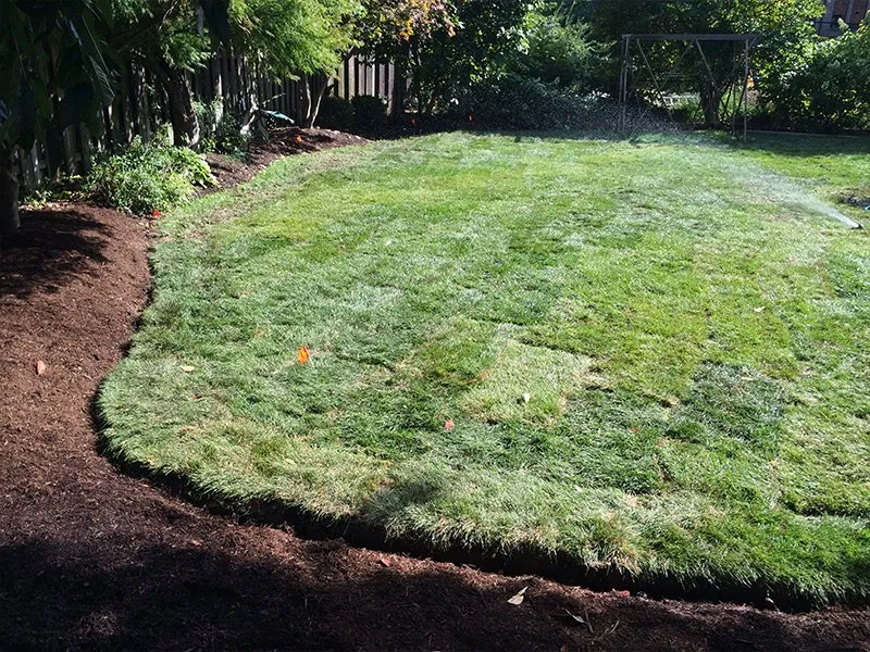 Custom outdoor landscaping with custom design across Saint Peters, MO - Mathias Precision Tree Service