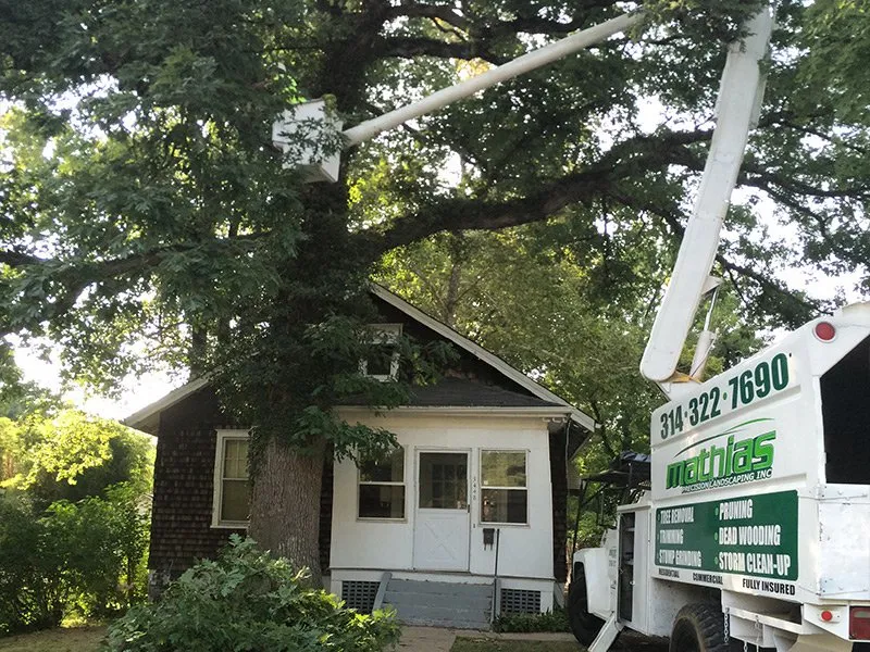 Top-rated lawn mowing service for residential properties in Saint Peters, MO by Mathias Precision Tree Service