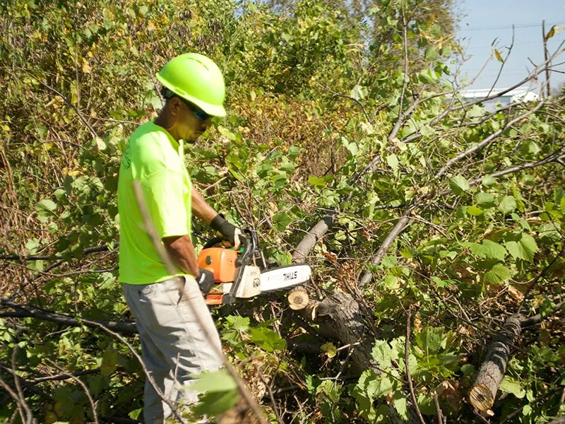 Local landscape installation experts serving Saint Peters, MO - Mathias Precision Tree Service