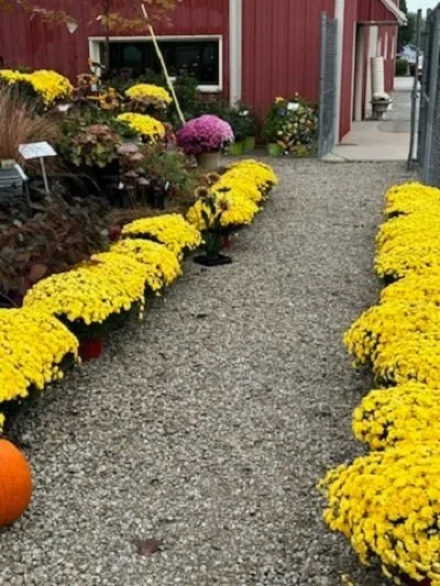 Affordable landscape design experts serving Shelbyville, IN - Mathies Landscaping