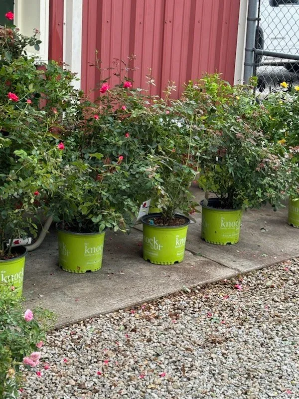 Professional landscape installation in Shelbyville, IN - Mathies Landscaping