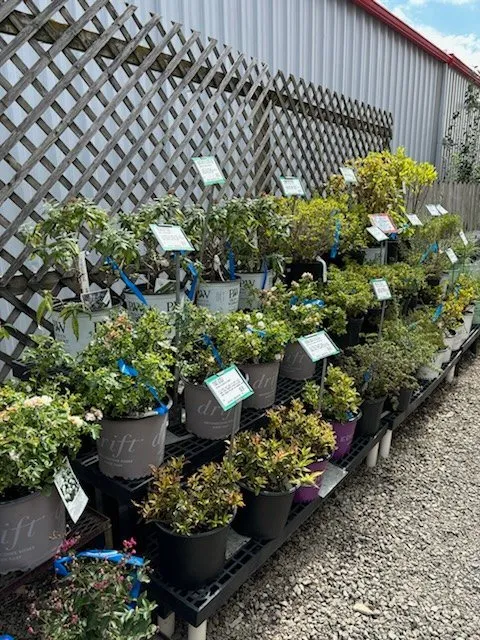 Professional landscaping services in Shelbyville, IN by Mathies Landscaping